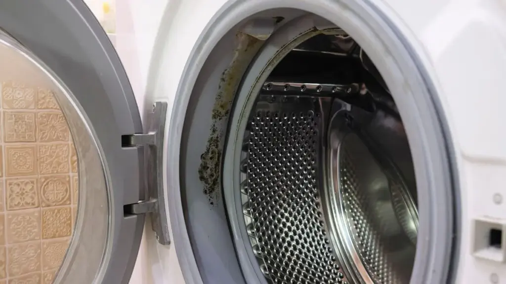 Waarom je wasmachine deur altijd openlaten leidt tot schimmel, stank en dure reparaties
